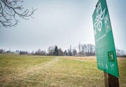 Dieser Trampelpfad soll zum offiziellen Wanderweg zwischen Egnach und Salmsach werden. (Bild: Reto Martin)