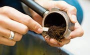 Wer hätte das gedacht: Nicht nur als Gartendünger ist Kaffeesatz geeignet, sondern auch als Energiequelle. (Bild: Getty)