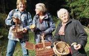 Vereinsmitglied Rolf Lüthi trifft unterwegs auf Marijke Frater-Schröder und Julia Vollenweider und nützt die Situation zum Bestaunen der gefundenen Exemplare. (Bilder: Fränzi Göggel)