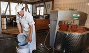 Aus Milch wird Käse: Der langjährige Mitarbeiter und Käsermeister Hansruedi Schläpfer zeigt's vor. (Bild: Nana do Carmo)