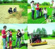 Mit vereintem Einsatz wurde die Anlage wieder instand gesetzt. (Bild: zVg)