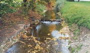 So harmlos sieht der Dorfbach im «Normalzustand» aus. (Bild: Simon Dudle)