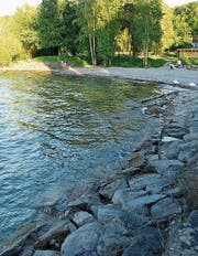 Die Aufnahmen des Seeufers am Hörnlibuck (links Juni 2017, rechts März 2018) zeigen deutlich, wie stark sich der Pegelstand des Bodensees je nach Jahreszeit verändert. (Bilder: Andreas Walker)