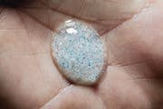Klein, aber nicht fein: Kleinst-Plastikteilchen kommen heute in vielen Duschmitteln oder Zahnpasten zur Anwendung und landen schliesslich im Wasser. (Bild: CRISTINA PEDRAZZINI/SCIENCE PHOT (SCIENCE PHOTO LIBRARY SPL))