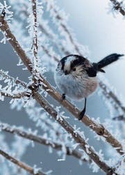 Brrr... ist das kalt!