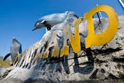Die Delfine waren die Hauptattraktion des Connylands - damit ist es nach dem Weggang der Tiere vorbei. (Bild: Keystone)