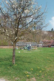Das Künstlerduo Bildstein/Glatz hat vor der Kartause Ittingen damit begonnen, den Loop aufzubauen. (Bild: pd)