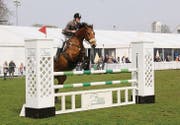 Elegant über die Hindernisse: Hanna Gasser aus Buchs mit Ludwig von Verl. Gasser hat den Preis des Ostschweizer Concours-Clubs gewonnen. (Bild: Barbara Hettich)
