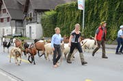 Die Tiere und die Betreuer unterwegs.