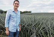Michael Dähler betreut die Finanzen der Ananasplantage. (Bild: Yvonne Aldrovandi)