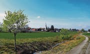So soll es aussehen: Auf diesem 500 Meter langen Teilstück wird man den Mülibach künftig wieder plätschern hören. (Bild: pd/Pro Natura)