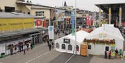 Auf dem Olma-Messe-Areal in St. Gallen präsentieren sich dieses Jahr 623 Aussteller. (Bilder: Linda Müntener)