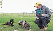 Im Training zeigt Tanja Leu, wie Halter ihren Hunden beibringen können, gefundene Köder nicht zu fressen. (Bild: Daniela Ebinger)