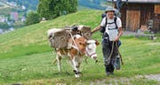Nach ihrem Zwischenstop in Wattwil geht für Muni Léo und Gaëtan Dübler die Reise nach Rorschach weiter. (Bilder: Dominic Engler)