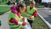Kinder der 1. bis 5. Primarschulklassen sorgen in Waldstatt für Ordnung. (Bilder: Gianni Amstutz)