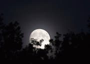 Der Vollmond über dem Unterthurgau. (Bild: Sandra Schweizer/PD)
