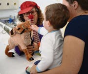 Zuerst zurückhaltend, dann offen: Mirco füttert das Dromedar. (Bild: Nana do Carmo / TZ)