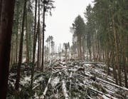 Sturm Burglind verursachte beträchtliche Schäden im Gamser Wald. (Bild: PD)