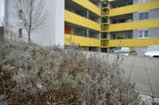 In diesem Mehrfamilienhaus im Osten von Weinfelden hielt sich der Mann mit Messer laut Aussagen der Anwohner auf. (Bild: Mario Testa)
