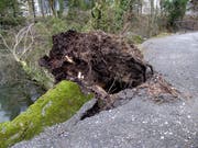 Sturmtief Burglind fegte mit Böen mit bis zu 226 Kilometern pro Stunde durch den Park. (Bild: pd)