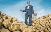 Werkleiter Joachim Pfauntsch nimmt die aus Deutschland angelieferten Zuckerrüben in Augenschein. (Bild: Andrea Stalder)
