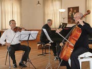 Leidenschaft und Dynamik: David Sonder, Philipp Horsch und Otto Horsch (von links). (Bild: pd)
