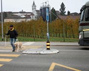 Guido Böhler überquert mit seinem Blindenführhund Benley den Fussgängerstreifen auf der St. Gallerstrasse. (Bild: Ursula Ammann)