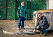 Hansjörg und Stefan Grob beim Bohrloch SLA2. Der Zugangsschacht ist mit Metallbügel und Vorhängeschloss gesichert. (Bild: Reto Martin)