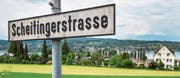 Die Scheitingerwiese mit Blick über den Untersee. (Bild: Reto Martin)