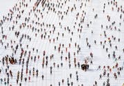 538 177 Personen haben bisher am Engadiner teilgenommen. (Bild: Arno Balzarini/KEY)