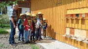 Fasziniert schauen die Kinder den Tausenden Bienen zu, die bei Imker Werner Hardegger ein- und ausfliegen. (Bilder: Corinne Hanselmann)