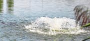 Ein Belüfter, quasi ein schwimmender Propeller, durchmischt das Wasser und reichert es mit Sauerstoff an. Links ist ein Fischschwarm zu erkennen.