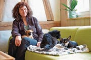 Brigitte Lang mit ihren Chihuahuas in der Stube ihrer Übergangs-Wohnung. (Bild: Mario Testa)