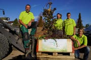 Markus Wagner, Marco Gähler, Mike Frischknecht und Esther Nufer (von links) mit einer bepflanzten Kiste. (Bild: pd)