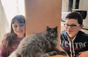 Maria und Angelo Ravelli sind überglücklich, dass sie ihre Katze Ombra nun wieder haben. (Bild: pd)