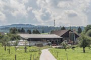 Reuti: Beschwerden über die Vorgänge auf diesem Bauernhof bekommen die Behörden von Nachbarn seit Jahren zu hören. (Bild: Thi My Lien Nguyen)