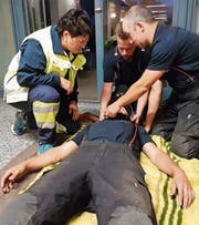 Rettungskräfte üben den Ernstfall (Bild: PD)