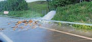 Die A1 musste gestern bei Rheineck für eine Stunde gesperrt werden. (Bild: Kantonspolizei)