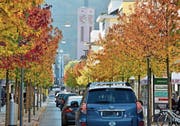 Der Herbst und seine vergängliche Schönheit (Bild: Heini Schwendener)