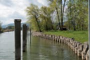 Der Alte Rhein fällt neu in den Zuständigkeitsbereich des Kantons St.Gallen. (Bild: Ralph Ribi)