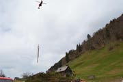 Der Superpuma fliegt die Fichten aus dem steilen Schutzwald. (Bild: Adi Lippuner)