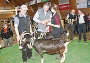 Martin Heeb (Mitte) freut sich über den erneuten Sieg. (Bild: Heidy Beyeler)