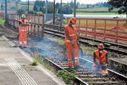 Ein Spaten für harte Kerle: Drei Arbeiter entfernen am Bahnhof Neukirch-Egnach das alte Gleis. (Bilder: Christof Lampart)