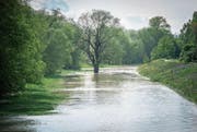 Den Flüssen soll mehr Raum gegeben werden: Thur-Hochwasser bei Uesslingen. (Bild: Reto Martin (14. Mai 2016))
