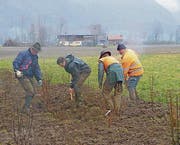 Rund 20 Freiwillige standen am Samstagmorgen im Einsatz. (Bild: pd)