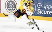 Leonardo Genoni bleibt bereits dreimal ohne Gegentor und erhält im Schnitt nur knapp 1,7 Tore pro Spiel. (Bild: Gabriele Putzu/KEY)