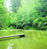 Gebietswechsel: Der Tobelweiher wird nun in das Gemeindegebiet von Berg integriert. (Bild: Martin Knoepfel)