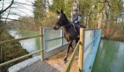 Susanne Germann reitet mit Molly über die neue Brücke. Sie verbindet etwa 100 Meter vor dem Elektrizitätswerk Wyden die beiden Seiten des Industriekanals. (Bild: Mario Testa)