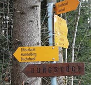 Die Wandernacht führt die Teilnehmer zum Burgstock. (Bild: pd/Roger Häni)