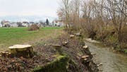 Die ersten Arbeiten sind im Gang: Am Hornbach sind die Revierförster mit Rodungen beschäftigt. (Bild: Jolanda Riedener (23. Februar))